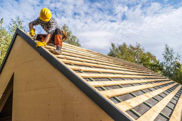Best Roof Leak Repair  in Funny River, AK