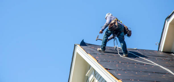 Best Sealant for Roof  in Funny River, AK